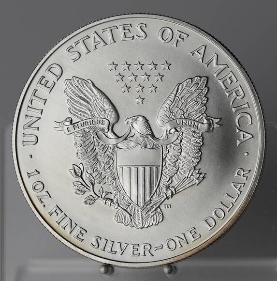 USA Silver-Eagle 1996