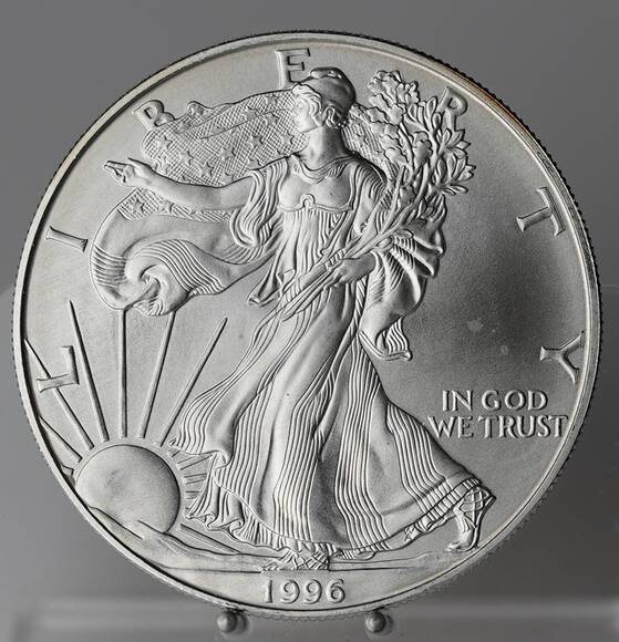 USA Silver-Eagle 1996