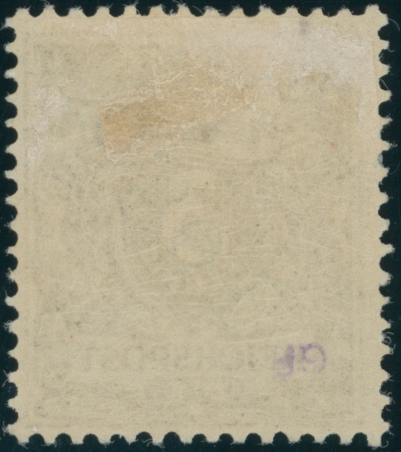 TOGO 1899 MiNr. 1 f