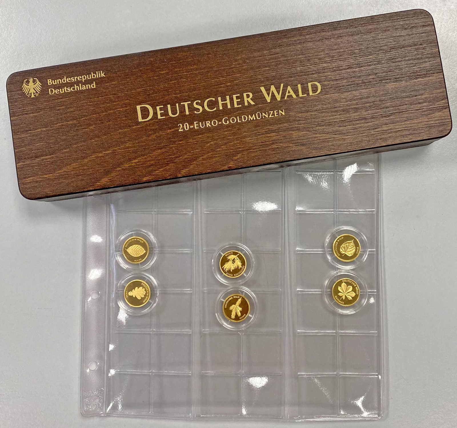 BRD 2010-2015 Serie Deutscher Wald 6 x 20 Euro Gold komplett in Buchenholzbox