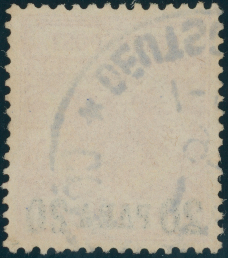 DP TÜRKEI 1895 MiNr. 7 ca