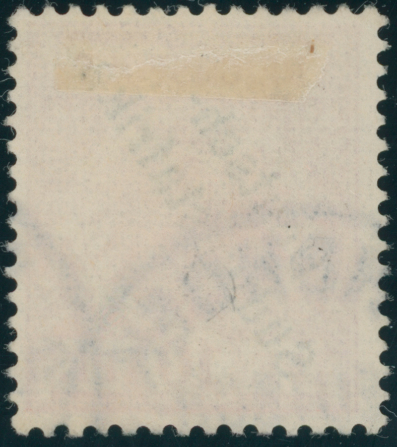 DEUTSCH-SÜDWESTAFRIKA 1899 MiNr. 7 d