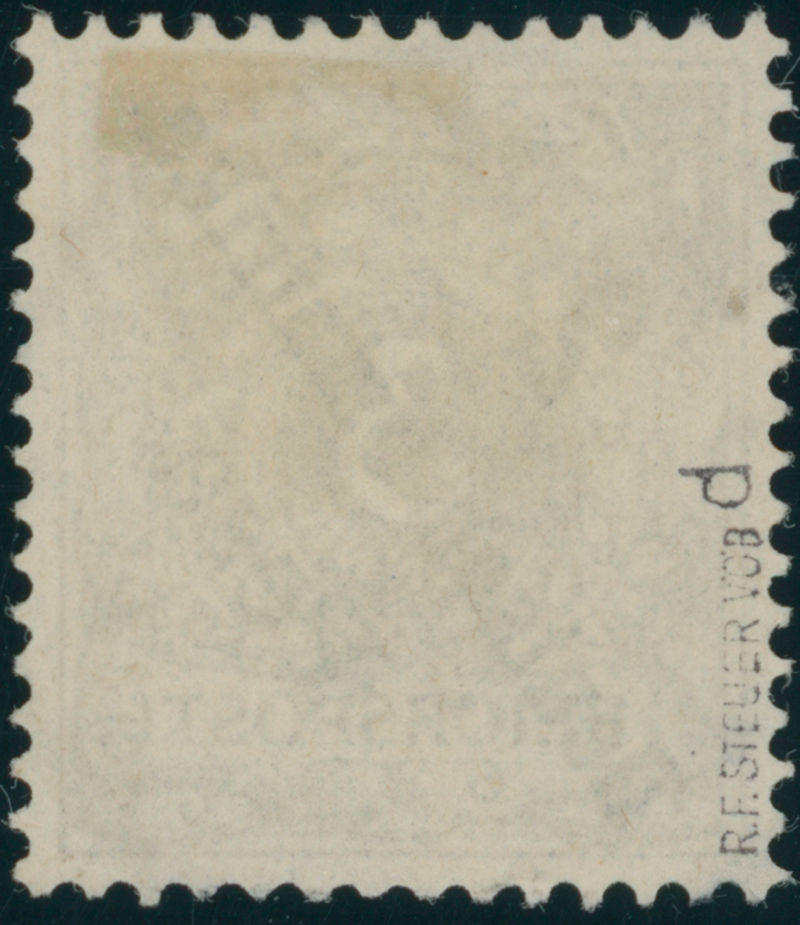 DEUTSCH-OSTAFRIKA 1899 MiNr. 6 d