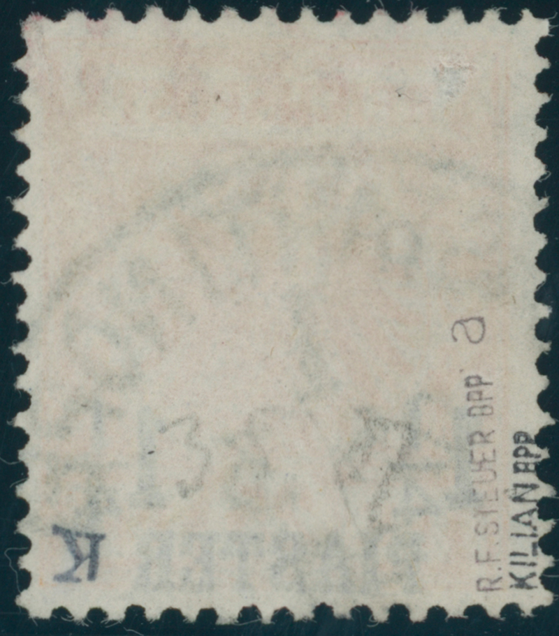 DP TÜRKEI 1889 MiNr. 9 a