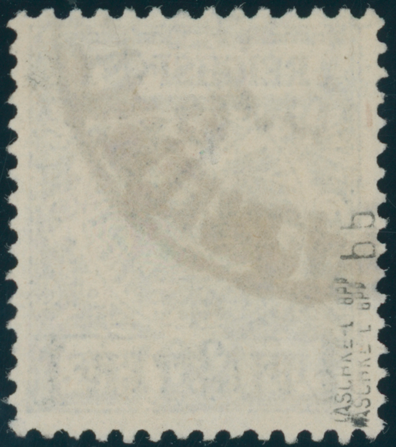 DP TÜRKEI 1893 MiNr. 8 bb