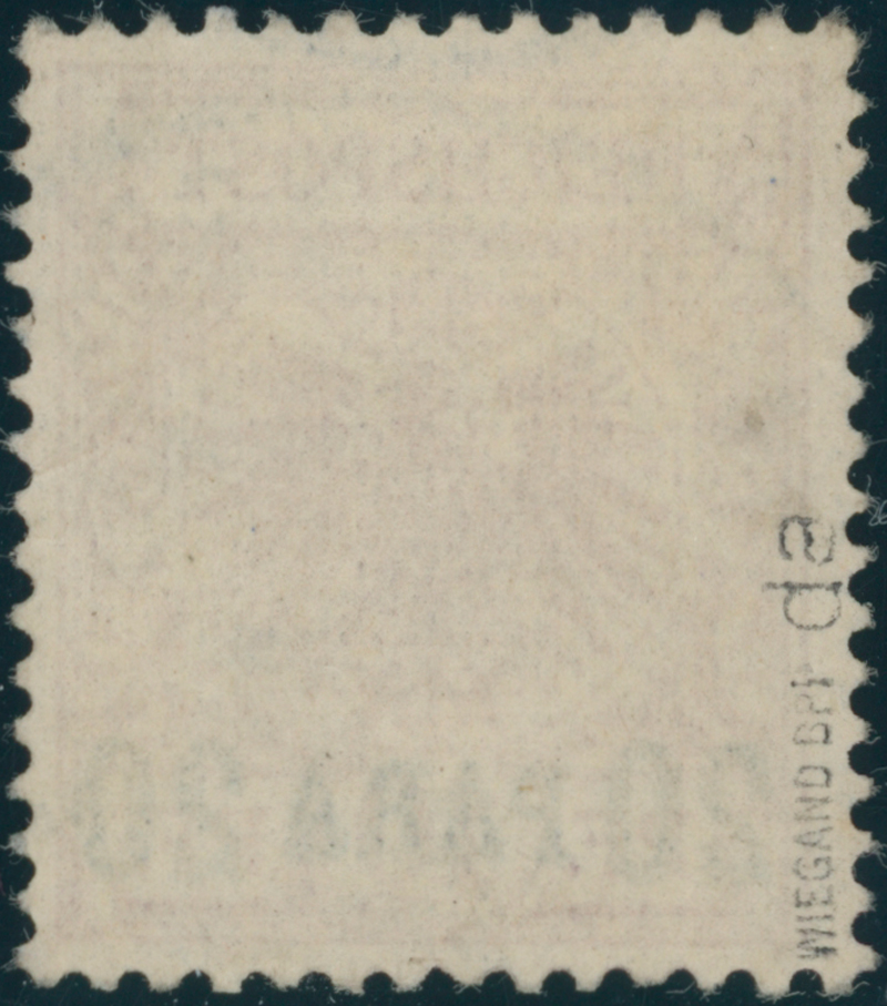 DP TÜRKEI 1895 MiNr. 7 da