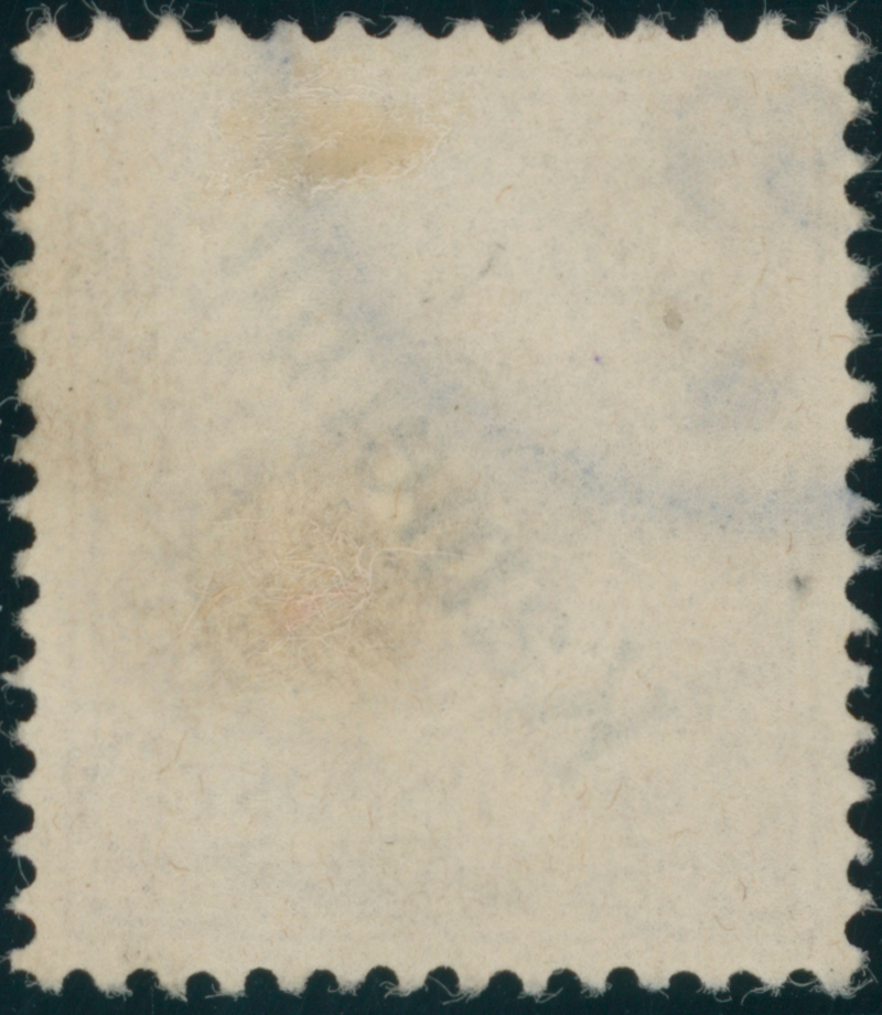 KAMERUN 1898 MiNr. 1 e