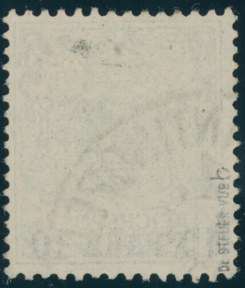 DP TÜRKEI 1890 MiNr. 6 b