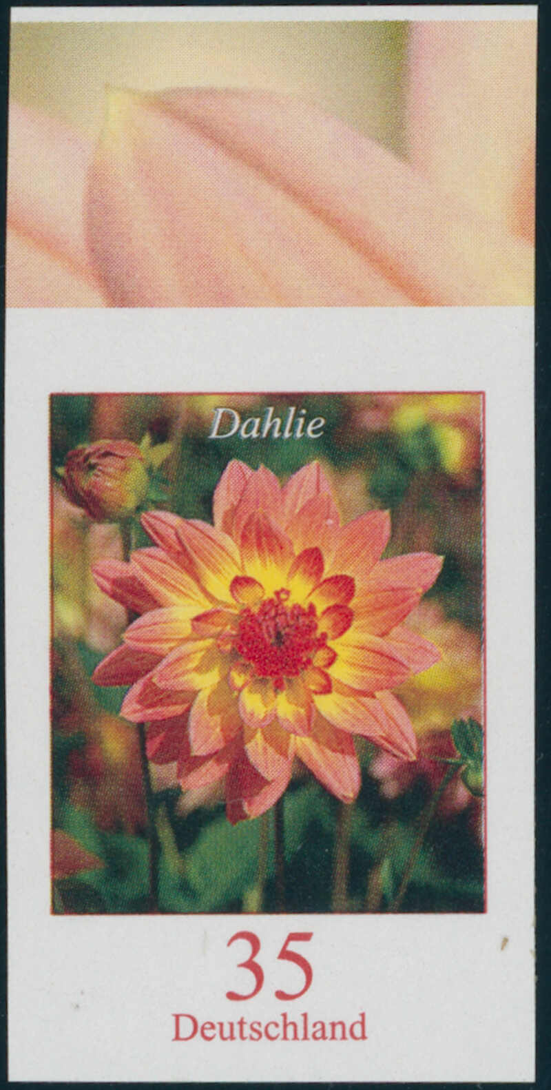 BRD 2505 U ungezähnt