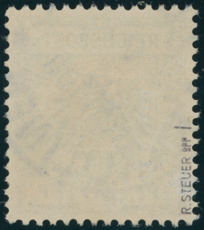 KAROLINEN 1899 MiNr. 4 I