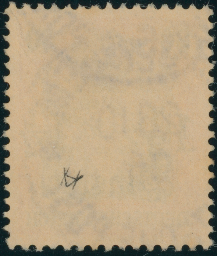 DP TÜRKEI 1905 MiNr. 28 II