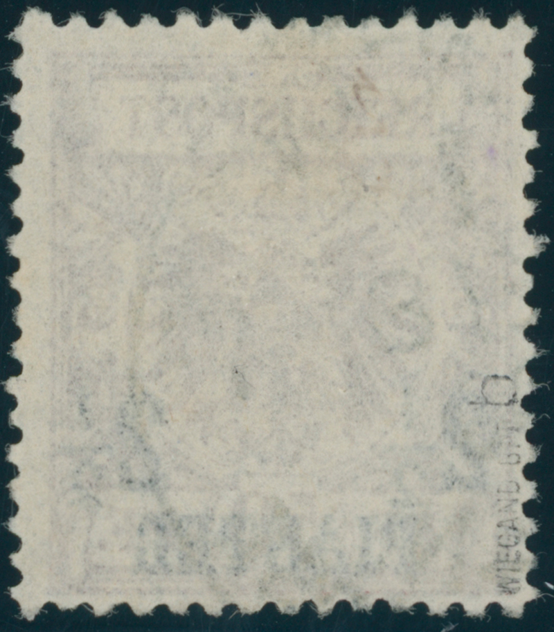 DP TÜRKEI 1889 MiNr. 10 b