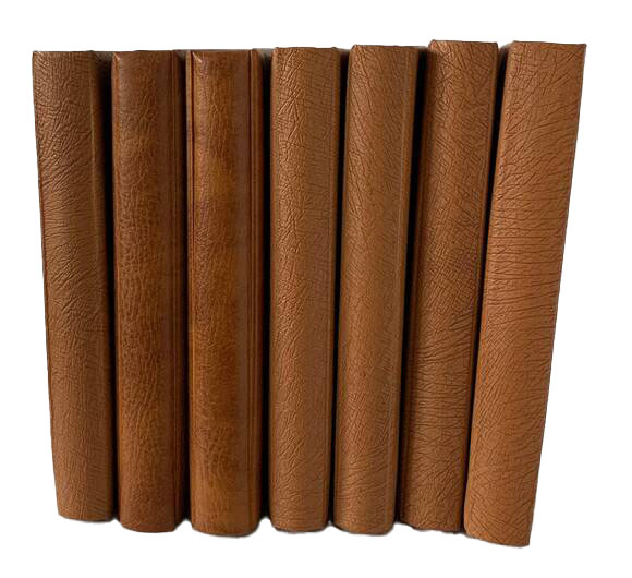 Bundesrepublik Deutschland 1955/1965 bis 1999 Bundesrepublik Deutschland 1955/1965 bis 1999