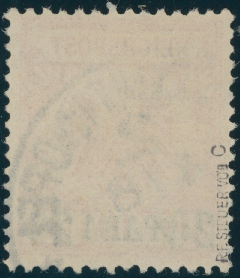 DP TÜRKEI 1895 MiNr. 7 c