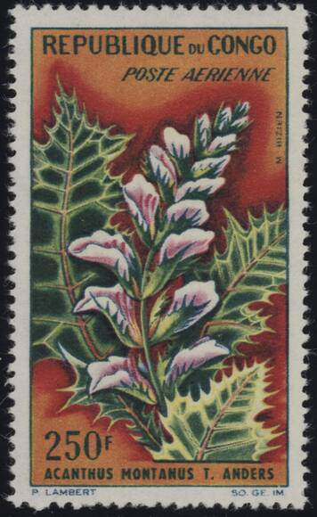 REPUBLIK KONGO 1963 MiNr. 34